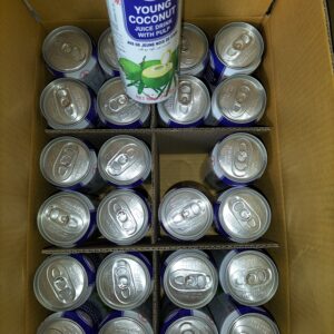 [ 500ml x 24 Cans ] IceCool Young Coconut with Pulp